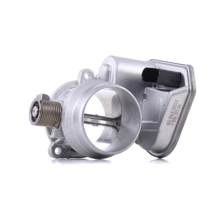 BOĞAZ KELEBEĞİ N47